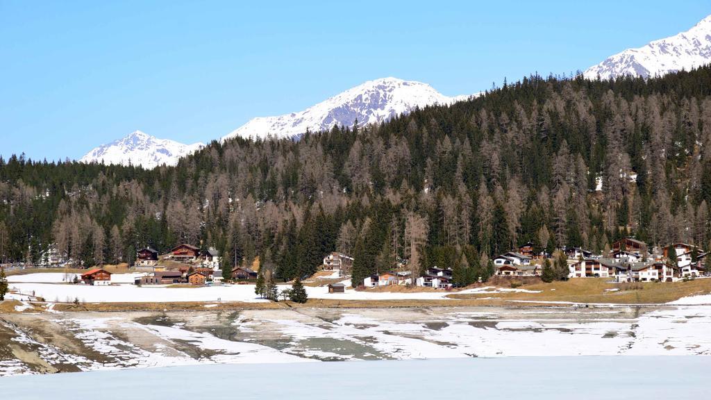 Haus Azalea Appartement Davos Buitenkant foto